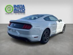 
										2019 Ford Mustang EcoBoost Fastback full									