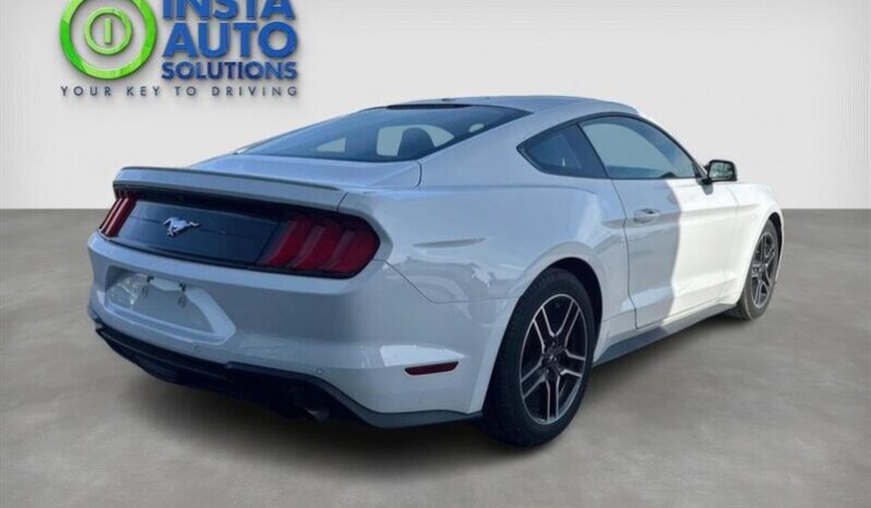 
								2019 Ford Mustang EcoBoost Fastback full									