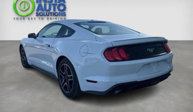 
								2019 Ford Mustang EcoBoost Fastback full									