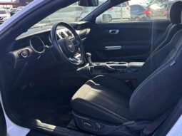 
										2019 Ford Mustang EcoBoost Fastback full									