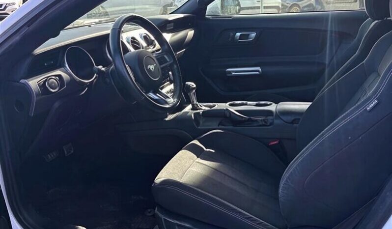 
								2019 Ford Mustang EcoBoost Fastback full									