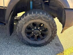 
										2020 Ram 2500 Power Wagon Crew Cab 4×4 full									