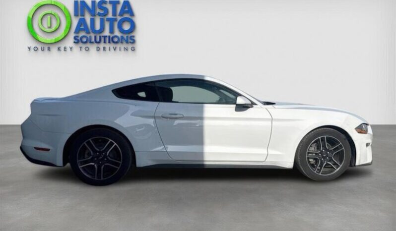 
								2019 Ford Mustang EcoBoost Fastback full									