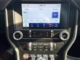 
										2019 Ford Mustang EcoBoost Fastback full									