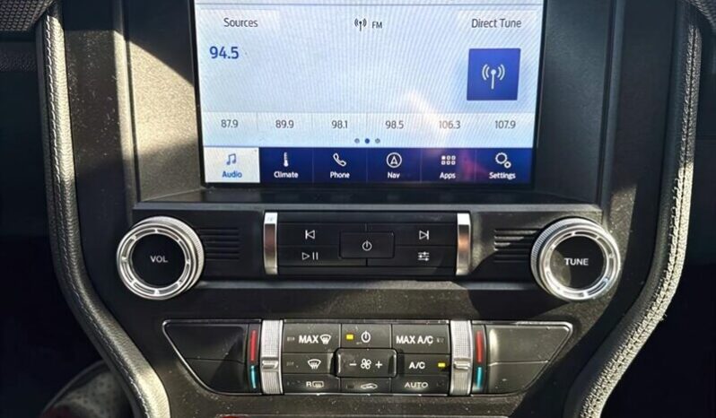 
								2019 Ford Mustang EcoBoost Fastback full									