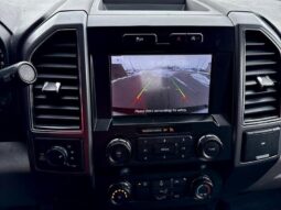 
										2020 Ford F-150 XLT Crew Cab 4×4 full									