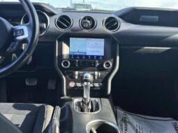 
										2019 Ford Mustang EcoBoost Fastback full									