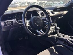 
										2019 Ford Mustang EcoBoost Fastback full									