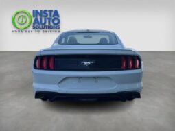 
										2019 Ford Mustang EcoBoost Fastback full									