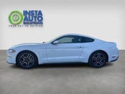 
										2019 Ford Mustang EcoBoost Fastback full									