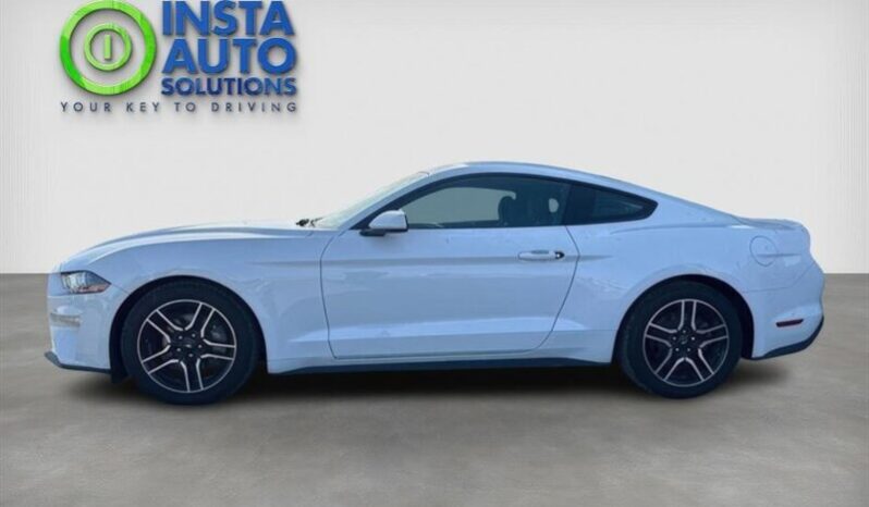 
								2019 Ford Mustang EcoBoost Fastback full									