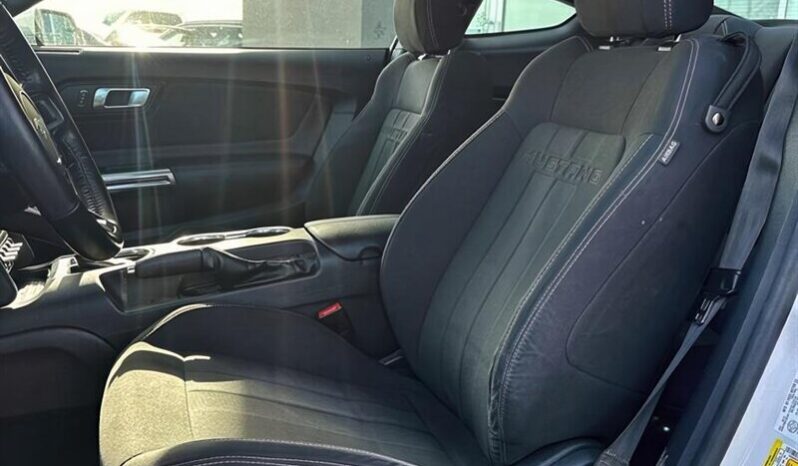 
								2019 Ford Mustang EcoBoost Fastback full									