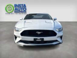 
										2019 Ford Mustang EcoBoost Fastback full									