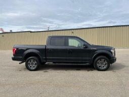
										2015 Ford F-150 XLT Sport Crew Cab 4×4 5.0L full									