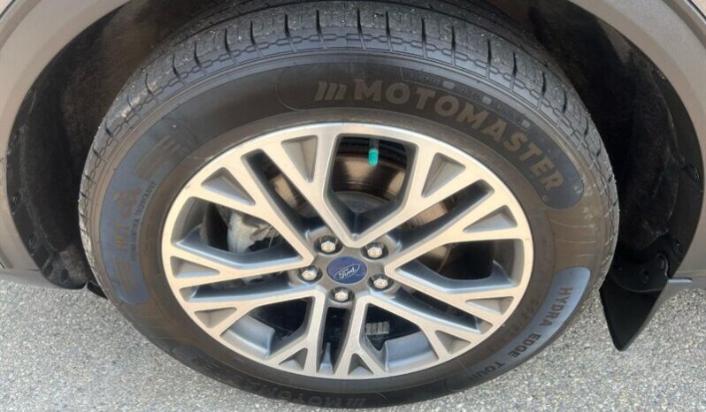 
								2021 Ford Escape SEL AWD full									