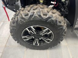 
										2024 Massimo MSA 760 4×4 full									