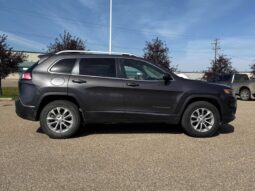 
										2019 Jeep Cherokee North 4×4 full									