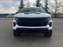 
										2023 Chevrolet Silverado 1500 Custom Trail Boss Z-71 Crew Cab 4×4 5.3L full									