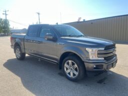 
										2019 Ford F-150 Lariat FX4 Crew Cab 4X4 3.5L Eco Boost full									