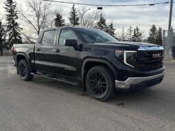 
										2022 GMC Sierra 1500 Pro Crew Cab 4×4 full									