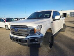 
										2019 Ford F-150 Lariat Crew FX4 Cab 4×4 3.5L Eco Boost full									