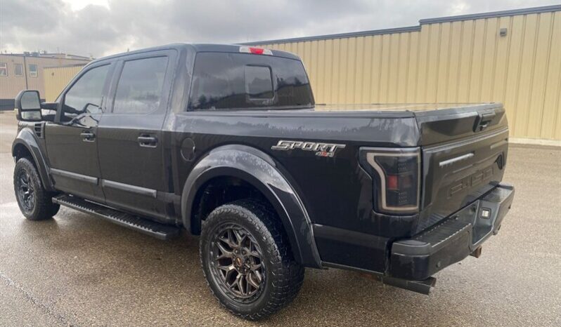 
								2019 Ford F-150 XLT Sport Crew Cab 4×4 5.0L full									