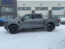 
										2024 Ford F-150 XLT Sport Crew Cab 4×4 3.5L Eco Boost full									