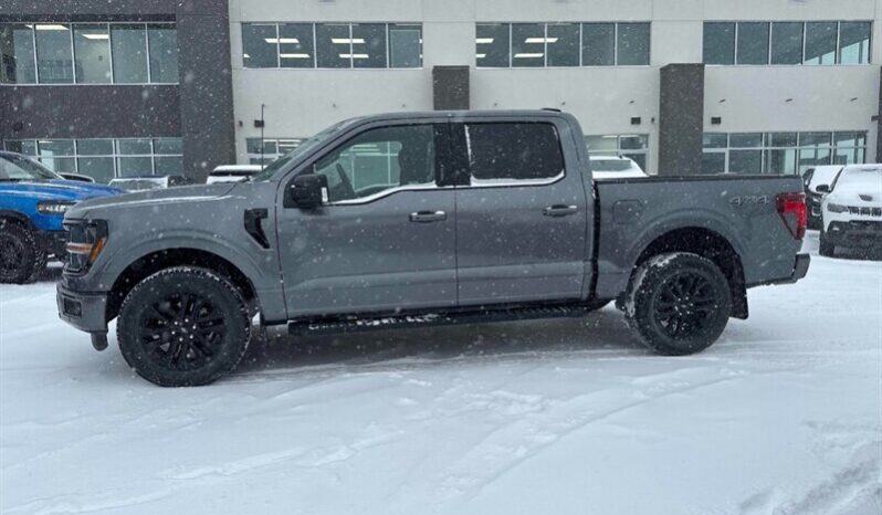 
								2024 Ford F-150 XLT Sport Crew Cab 4×4 3.5L Eco Boost full									