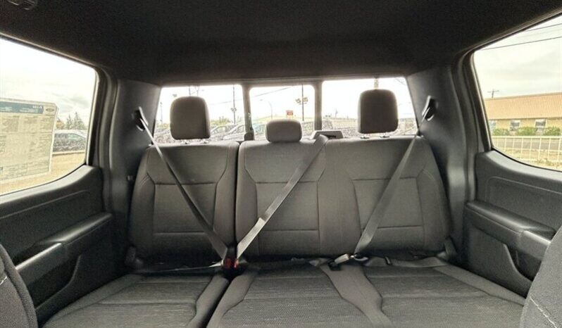 
								2024 Ford F-150 XLT Sport Crew Cab 4×4 3.5L Eco Boost full									