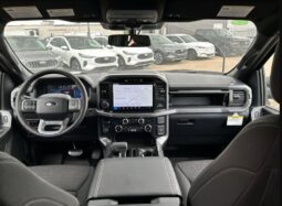 
										2024 Ford F-150 XLT Sport Crew Cab 4×4 3.5L Eco Boost full									