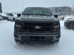 
										2024 Ford F-150 XLT Sport Crew Cab 4×4 3.5L Eco Boost full									