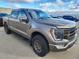 
										2022 Ford F-150 Tremor Crew Cab 4×4 3.5L Eco Boost full									