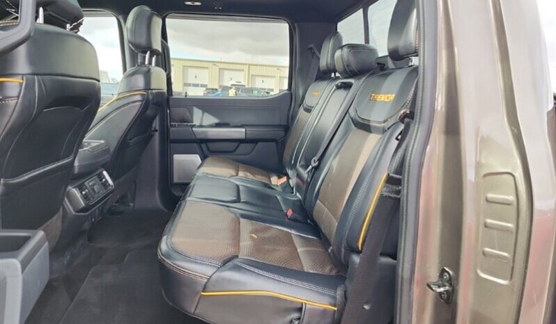 
								2022 Ford F-150 Tremor Crew Cab 4×4 3.5L Eco Boost full									