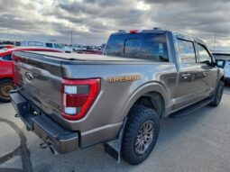 
										2022 Ford F-150 Tremor Crew Cab 4×4 3.5L Eco Boost full									