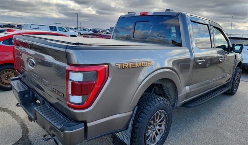
								2022 Ford F-150 Tremor Crew Cab 4×4 3.5L Eco Boost full									