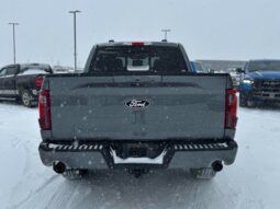 
										2024 Ford F-150 XLT Sport Crew Cab 4×4 3.5L Eco Boost full									