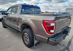
										2022 Ford F-150 Tremor Crew Cab 4×4 3.5L Eco Boost full									