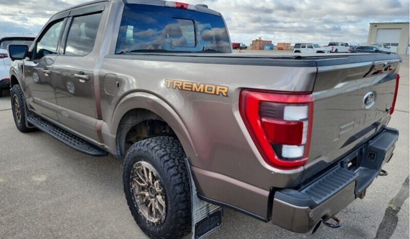 
								2022 Ford F-150 Tremor Crew Cab 4×4 3.5L Eco Boost full									