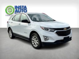
										2019 Chevrolet Equinox LS AWD full									