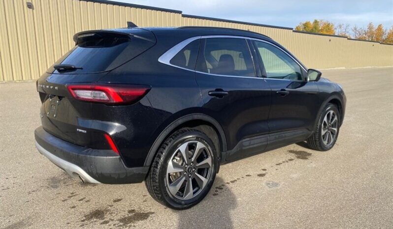 
								2025 Ford Escape Platinum Moonroof AWD full									