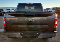 
										2020 Ford F-150 XLT FX4 Crew Cab 4×4 5.0L full									