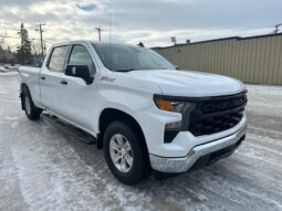 
										2023 Chevrolet Silverado 1500 WT Z-71 Crew Cab 4×4 5.3L full									