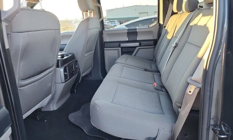 
								2020 Ford F-150 XLT FX4 Crew Cab 4×4 5.0L full									