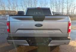 
										2019 Ford F-150 XLT FX4 Sport 5.0L Crew Cab 4×4 full									