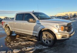 
										2019 Ford F-150 XLT FX4 Sport 5.0L Crew Cab 4×4 full									