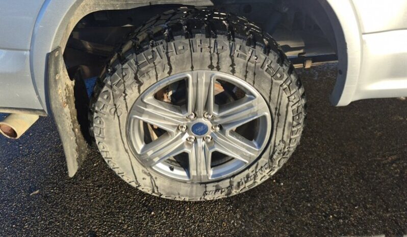 
								2019 Ford F-150 XLT FX4 Sport 5.0L Crew Cab 4×4 full									