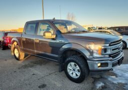
										2020 Ford F-150 XLT FX4 Crew Cab 4×4 5.0L full									
