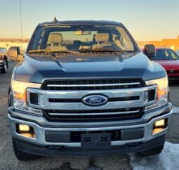 
										2020 Ford F-150 XLT FX4 Crew Cab 4×4 5.0L full									