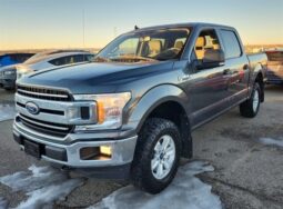 2020 Ford F-150 XLT FX4 Crew Cab 4×4 5.0L
