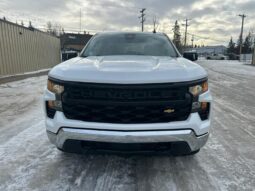 
										2023 Chevrolet Silverado 1500 WT Z-71 Crew Cab 4×4 5.3L full									